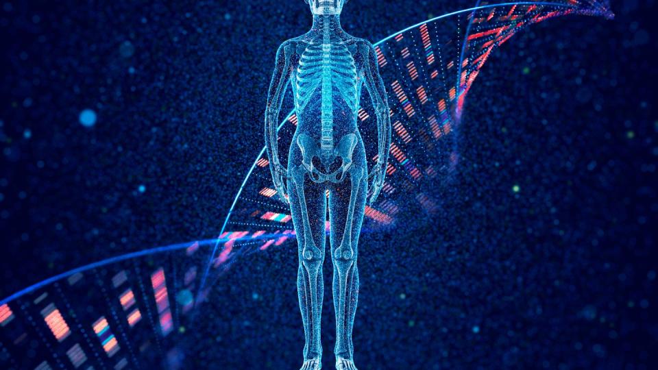 human bone full body and dna molecular structure on particle background