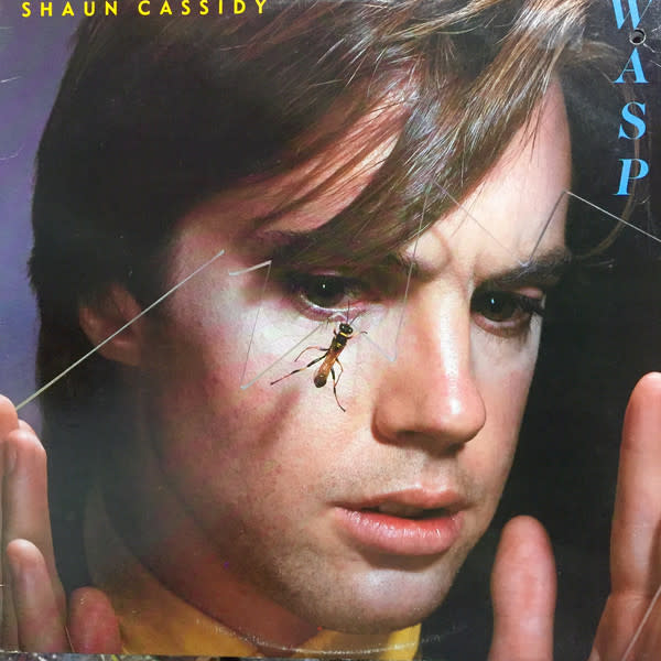 Shaun Cassidy's 'Wasp' album cover, 1980. (Photo: Warner Bros. Records)