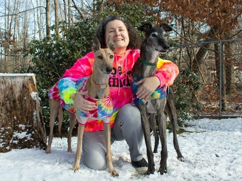 dog owner with her two greyhounds outside in the snow