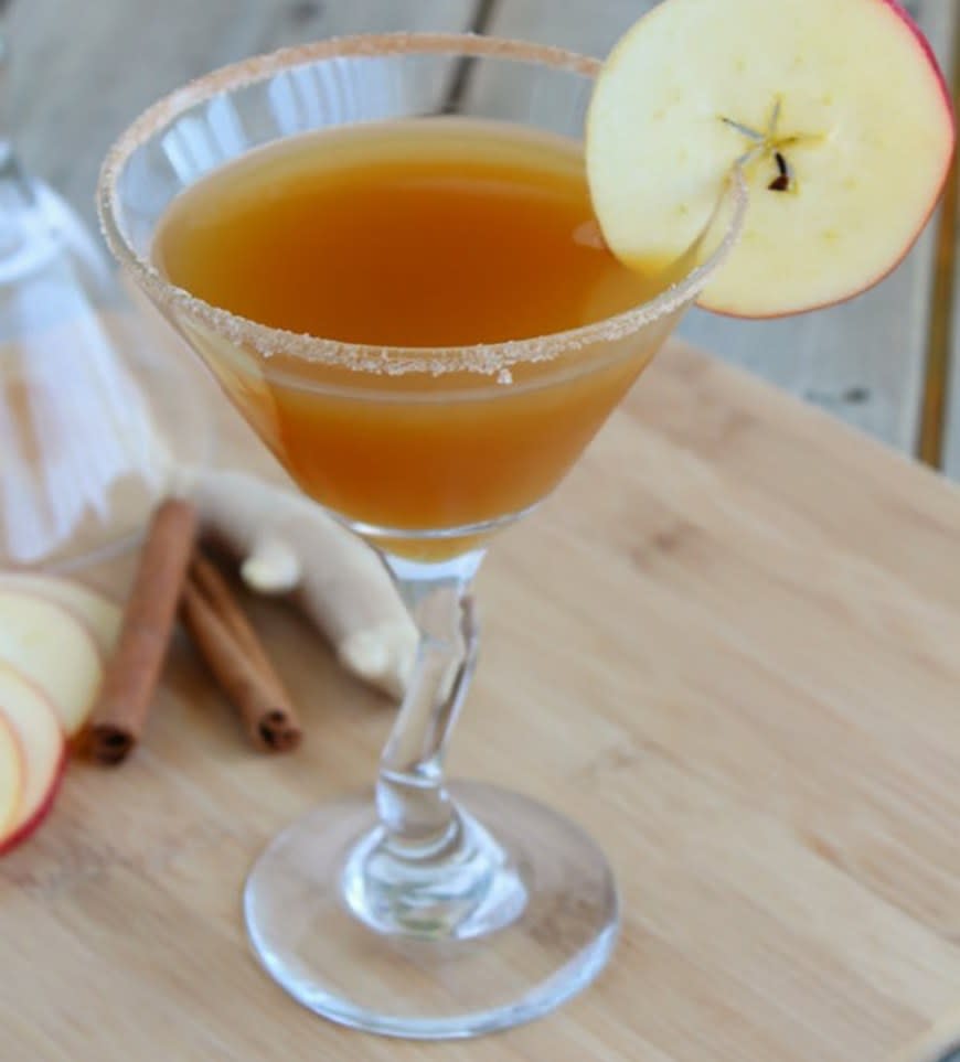 Ginger-Cinnamon Apple Cider Mocktail from Rachel Cooks