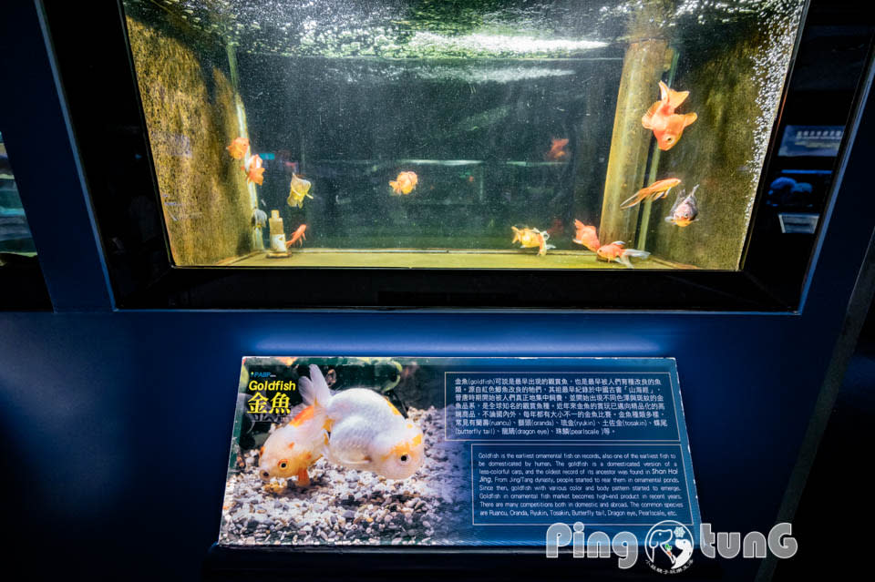 屏東農業科技園區觀賞水族展示廳