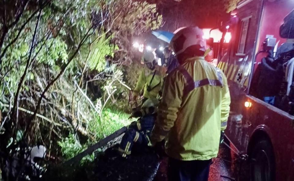 男子開車上陽明山賞雪途中車輛墜落邊坡警消到場救援。（圖／翻攝畫面）