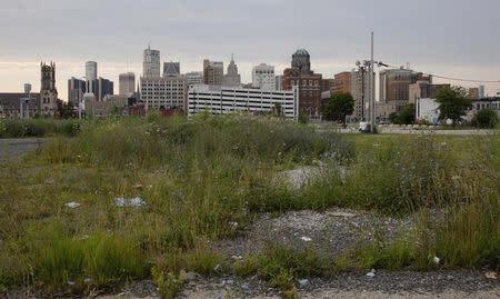 Downtown Detroit is seen from a vacant lot, looking south along Woodward Avenue, Michigan July 21, 2013. REUTERS/ Rebecca Cook