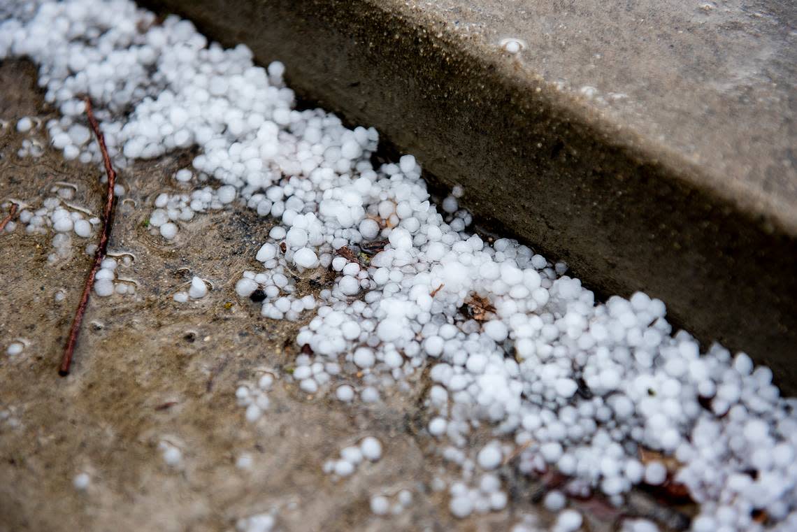 Hail collects along the sidewalk near M Street and Buena Vista Drive during a short rain and hail storm in Merced, Calif., on Monday, Jan. 16, 2023.