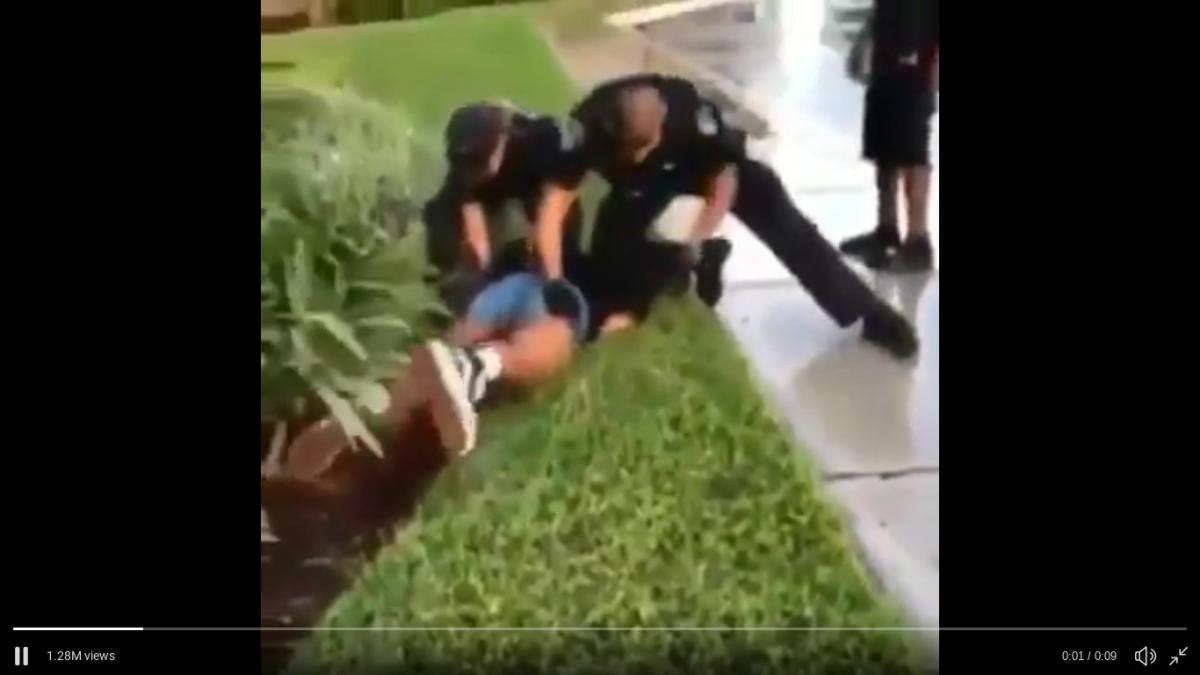 Florida Police Repeatedly Punch a Pinned-Down Teen Girl in Viral Video