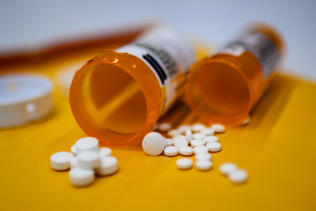 According to Quebec's health institute (INSPQ), there were 508 deaths related to suspected poisoning with opioids or other substances from October 2022 to September 2023.  (Eric Baradat/AFP/Getty Images - image credit)