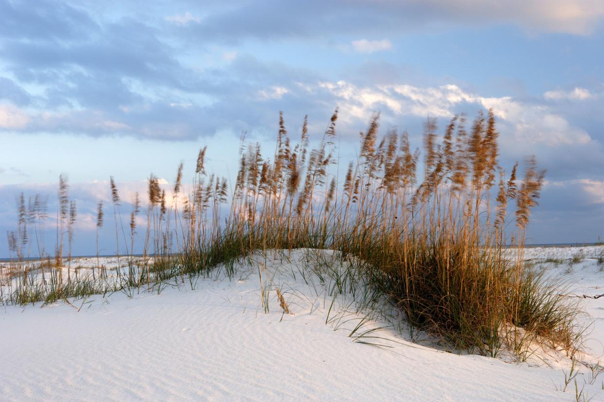 Gulf State Park Alabama