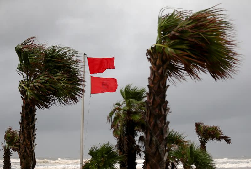 A red warning flag flies as palm trees sway in the wind as Hurricane Sally approaches in Gulf Shores