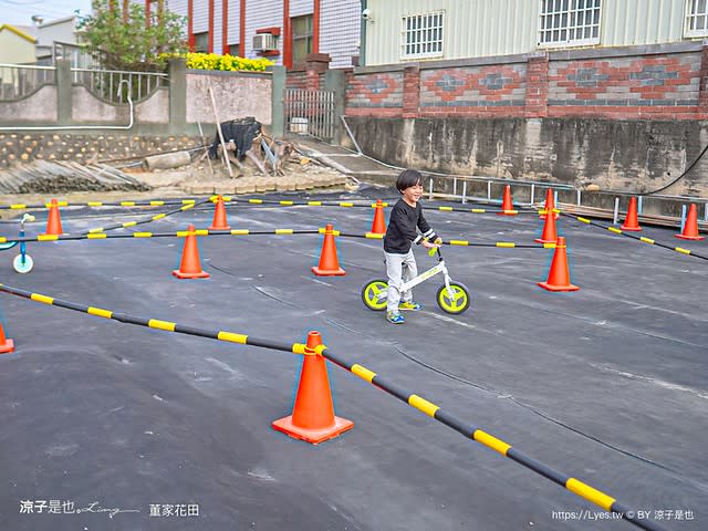 彰化田尾｜董家花田