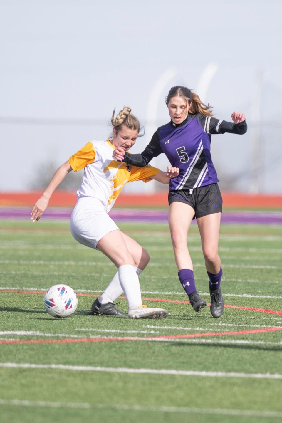 Pueblo East's Brailey Rowe, left, fights for possession with Rye's Brianna Prichard during a game on March 28.