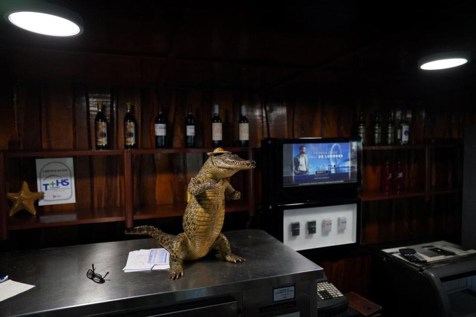 A crocodile taxidermy in a restaurant at Zapata swamp (Reuters)