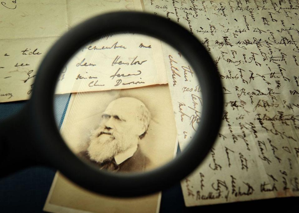 Original letters from Charles Darwin on display at the Herbaruim library.