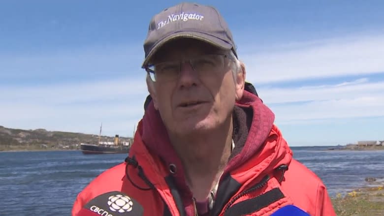 No sign of whale formerly stuck in Harbour Grace