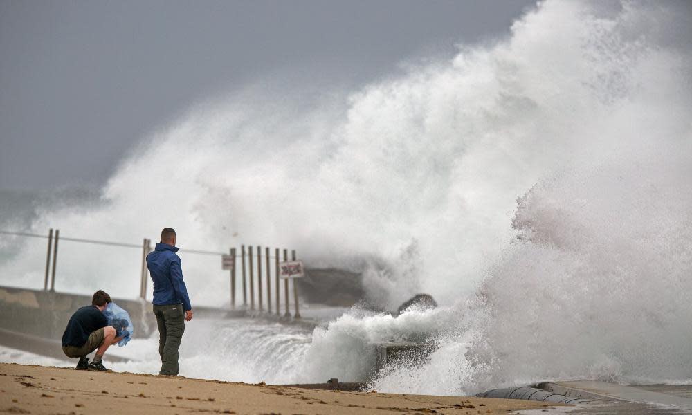 <span>Photograph: Lannis Waters/AP</span>