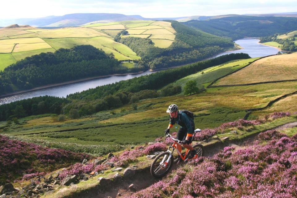 Cycle the C2C track from Whitehaven to Tynemouth (Getty Images)