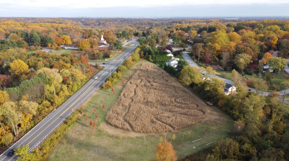 Trinity Community Church in Hockessin hosts an annual Family Fest that is completely free to the community and offers food, games, prizes, farm animals, a corn maze, a hayride and more.