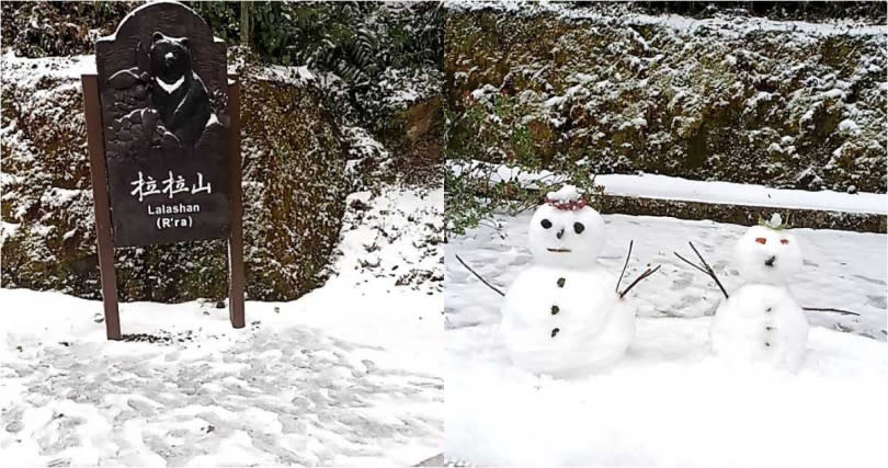 拉拉山在今日凌晨3時40分左右開始飄雪。（圖／翻攝自臉書／拉拉山國家森林遊樂區）