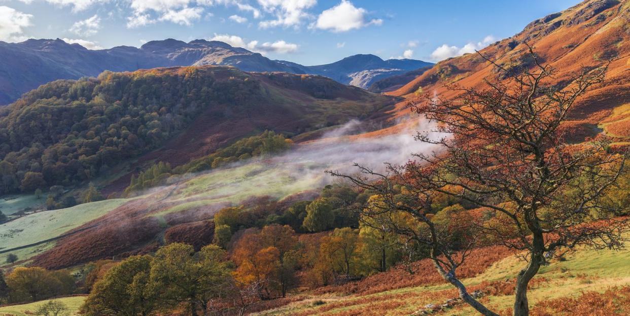 borrowdale and rosthwaite early morning with intense rustic autumn colours  lake district, cumbria uk