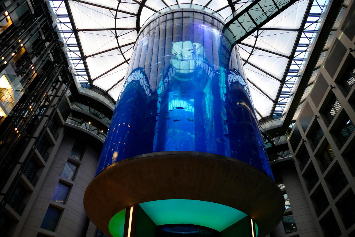 Photograph taken of the AquaDom in Berlin, Germany, is a 25 m (82 ft) tall cylindrical acrylic glass aquarium with built-in transparent elevator. It is located at the Radisson Blu Hotel in Berlin-Mitte.