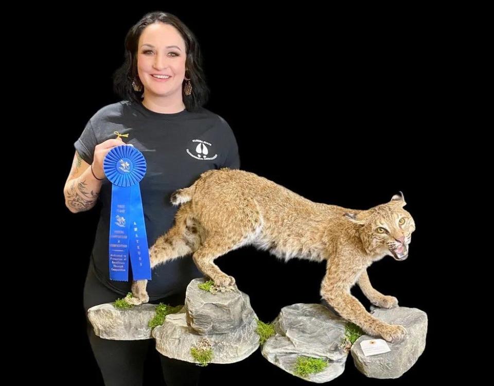 Allison Doty, seen her with a prize-winning bobcat, runs the oddities shop MorgueMade and taxidermy services, and she is the new co-owner of Oddities Marketplace, which will be setting up at Lake County Fairgrounds in Eustis this weekend.