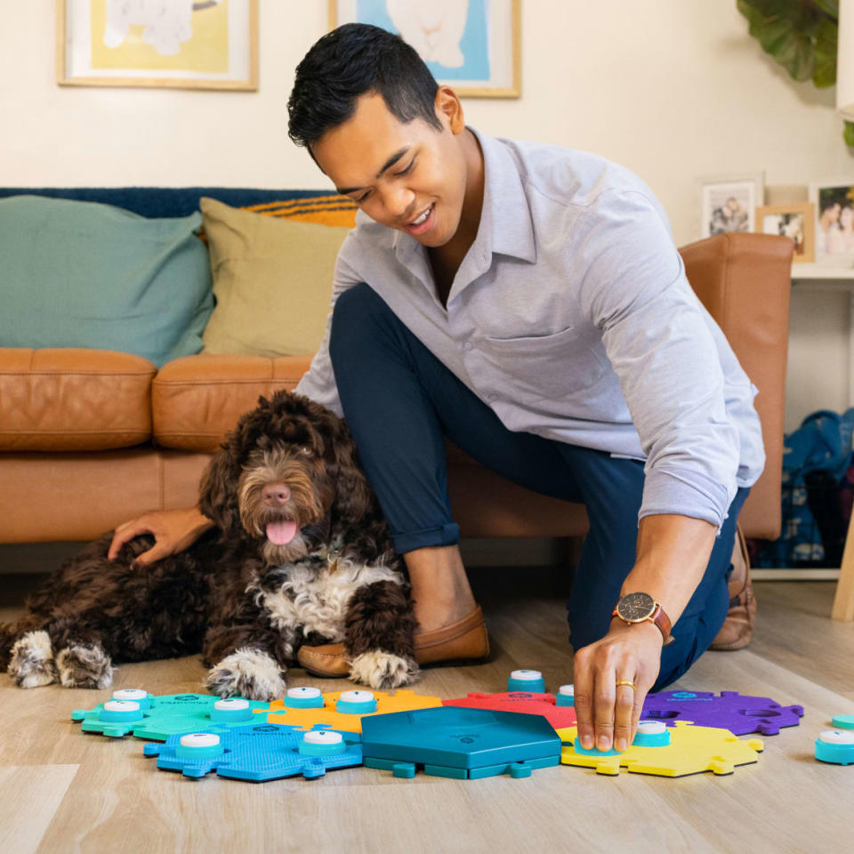 A man and his dog contemplate a series of FluentPet buttons