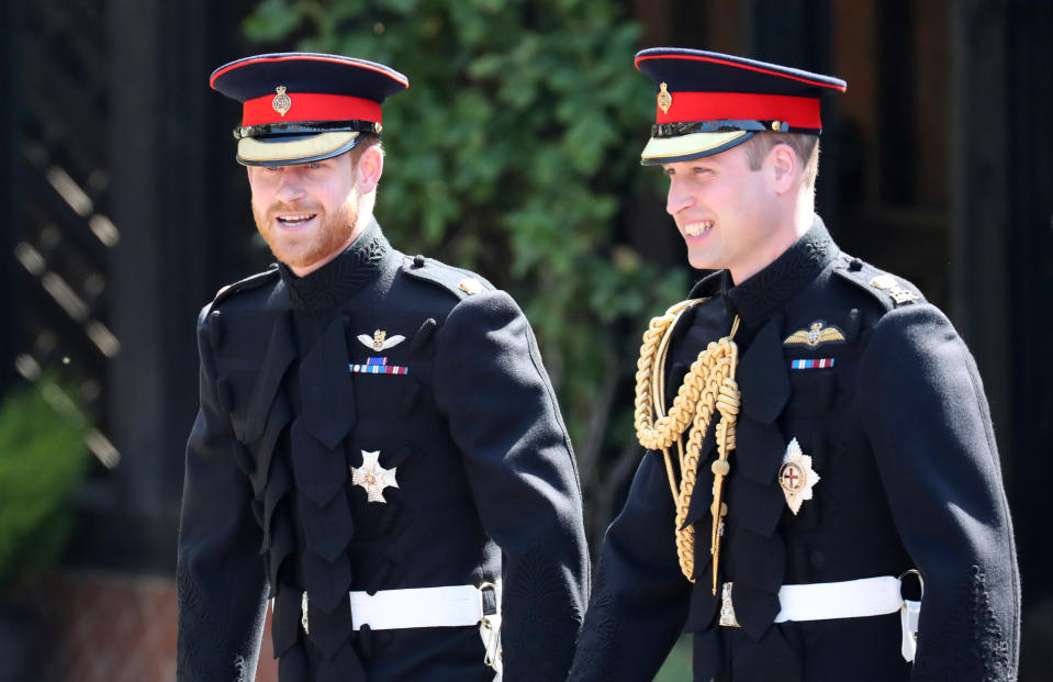 La complicité du prince Harry et du prince William en images