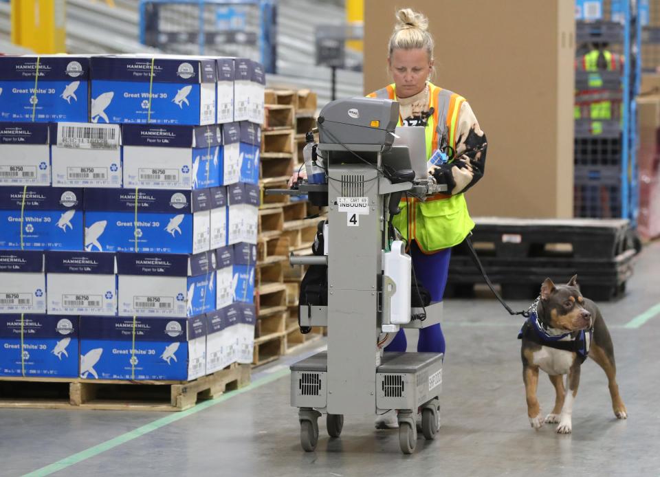 Akron Amazon Fulfillment Center process assistant Misty Sohosky and her service dog Sam at work Wednesday at the facility, located at the site of the former Rolling Acres Mall.