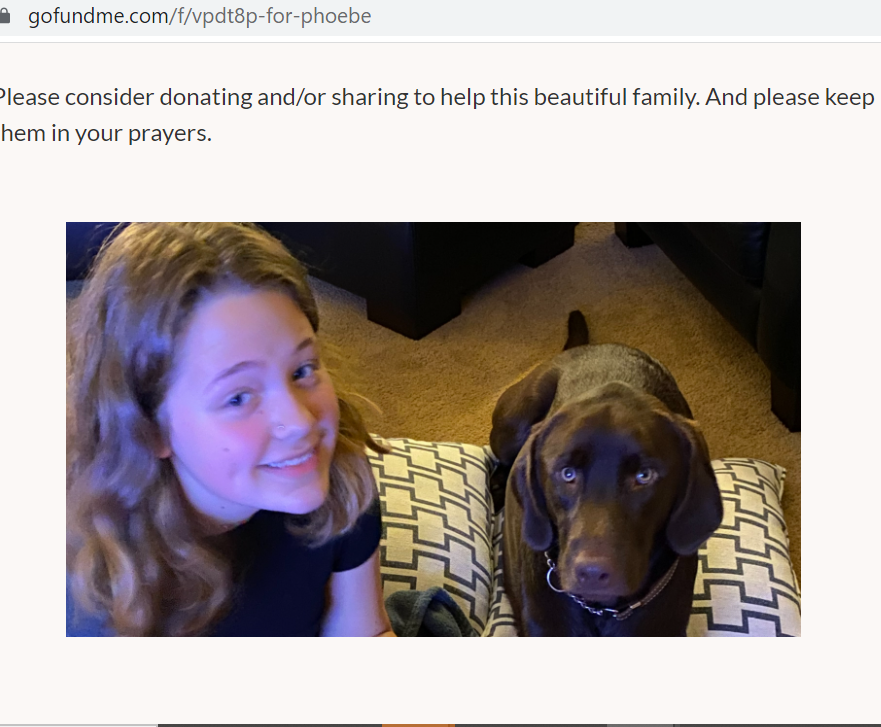 A screenshot of the Phoebe Arthur GoFundMe page that raises money for the Oxford High School shooting survivor. She went home from the hospital on Sunday, Dec. 5, 2021.