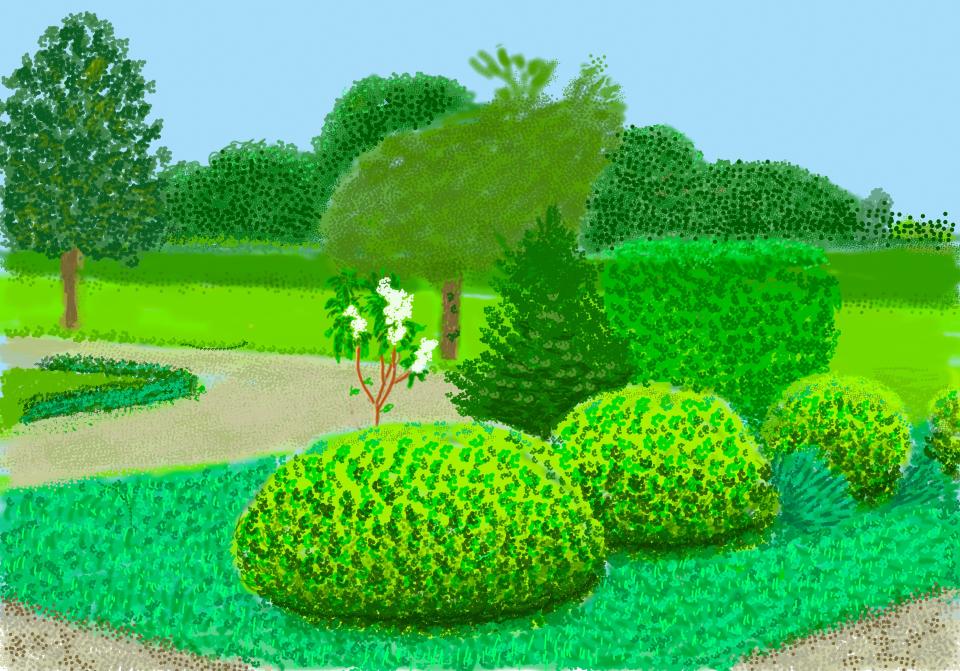 No. 259, 24th April 2020David Hockney