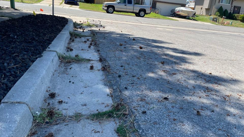 pine cones in the gutter before removing with the Greenworks pro 80v