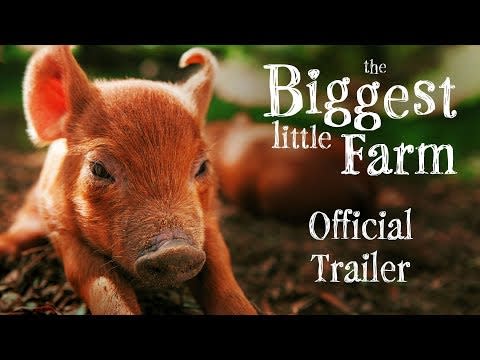 19. The Biggest Little Farm