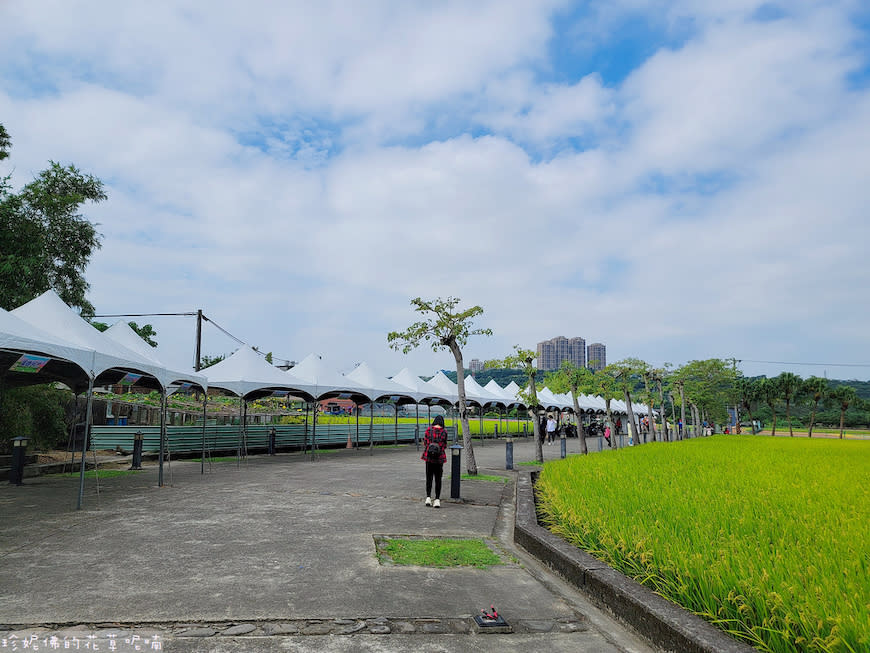 2023桃園花彩節