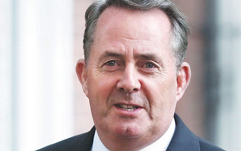 Liam Fox, the former defence secretary, will say in a speech in Washington that attempts to save the Iran nuclear deal is 'futile'