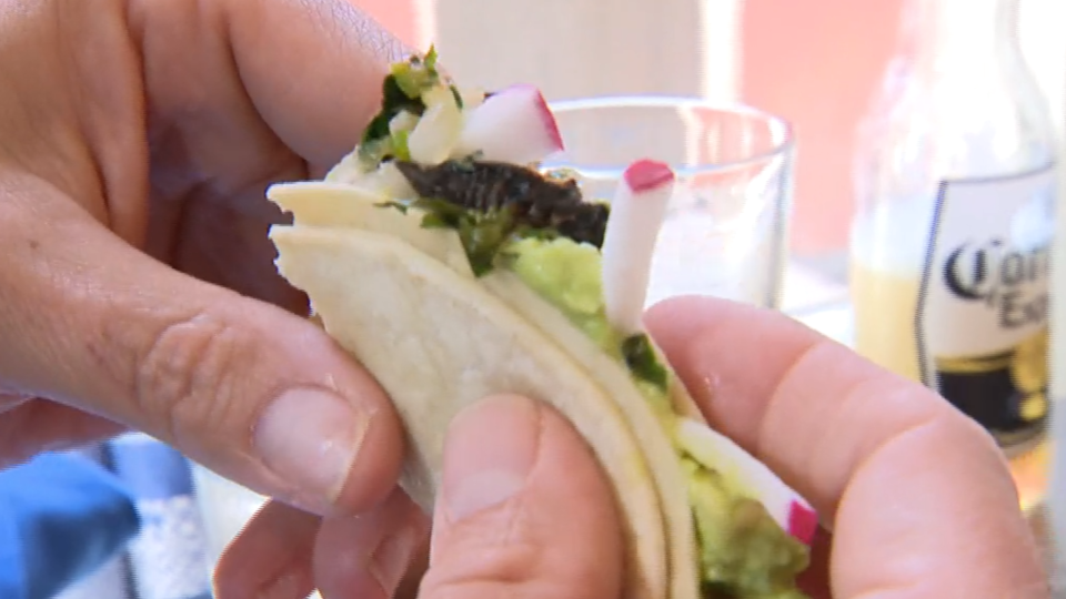 Cicada tacos are on the menu at a Leesburg, Virginia restaurant, which sells about 30 orders of them every day. / Credit: CBS News