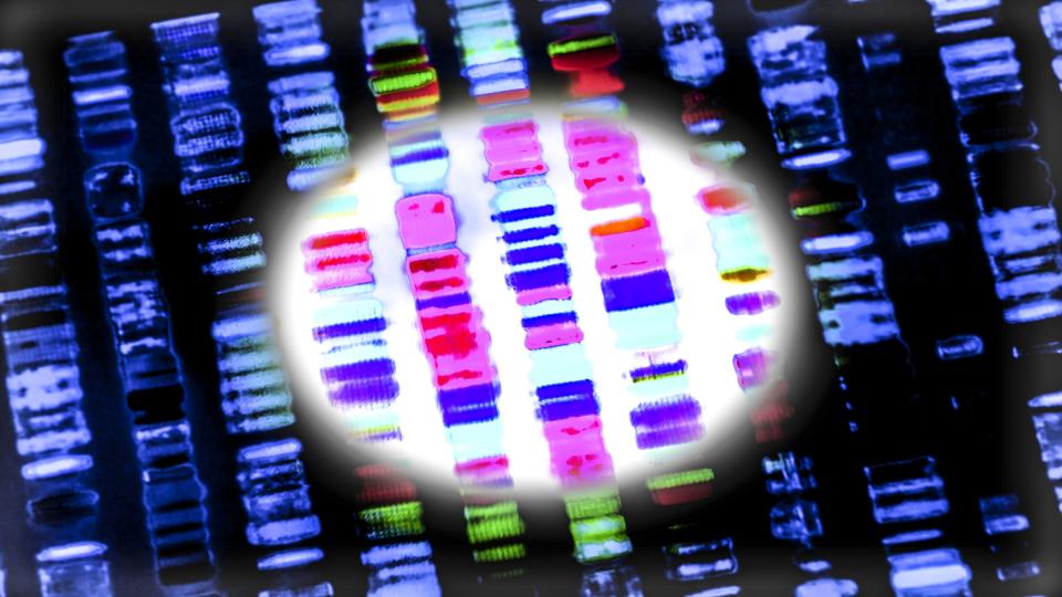 Close up of DNA sequencing data, depicted as rows of colorful lines