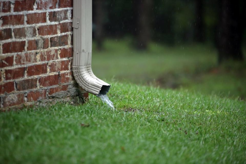 Water coming out of downspout on home's rain gutter.