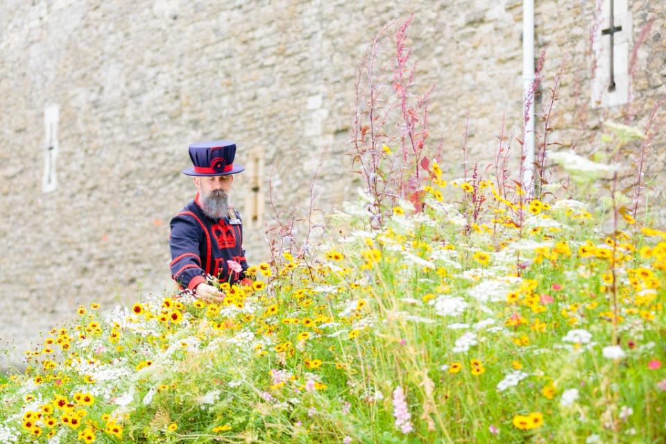 The Tower of London will be surrounded by a field of millions of colourful flowers for the Jubilee (Richard Lea-Hair/Historic Royal Palaces/PA) (PA Media)