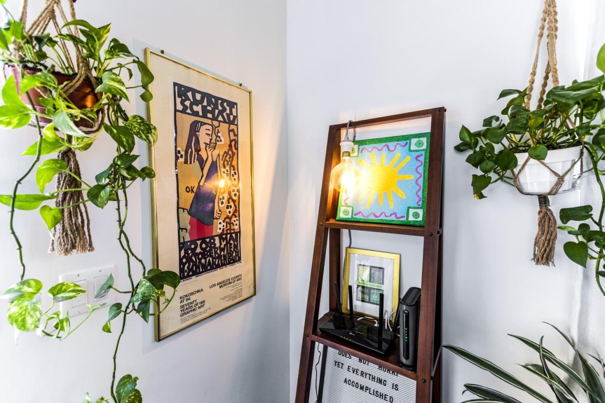 Plants, art, a shelf with artworks and a lamp.