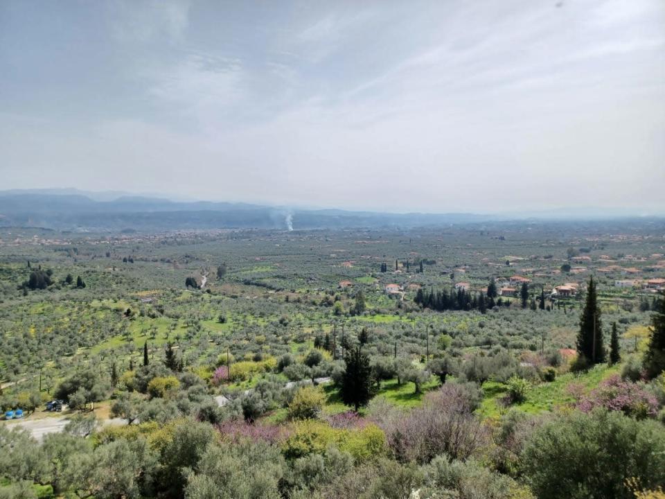 <div class="inline-image__caption"><p>Eurotas valley and Sparta from Mystras</p></div> <div class="inline-image__credit">Alex Sakalis</div>