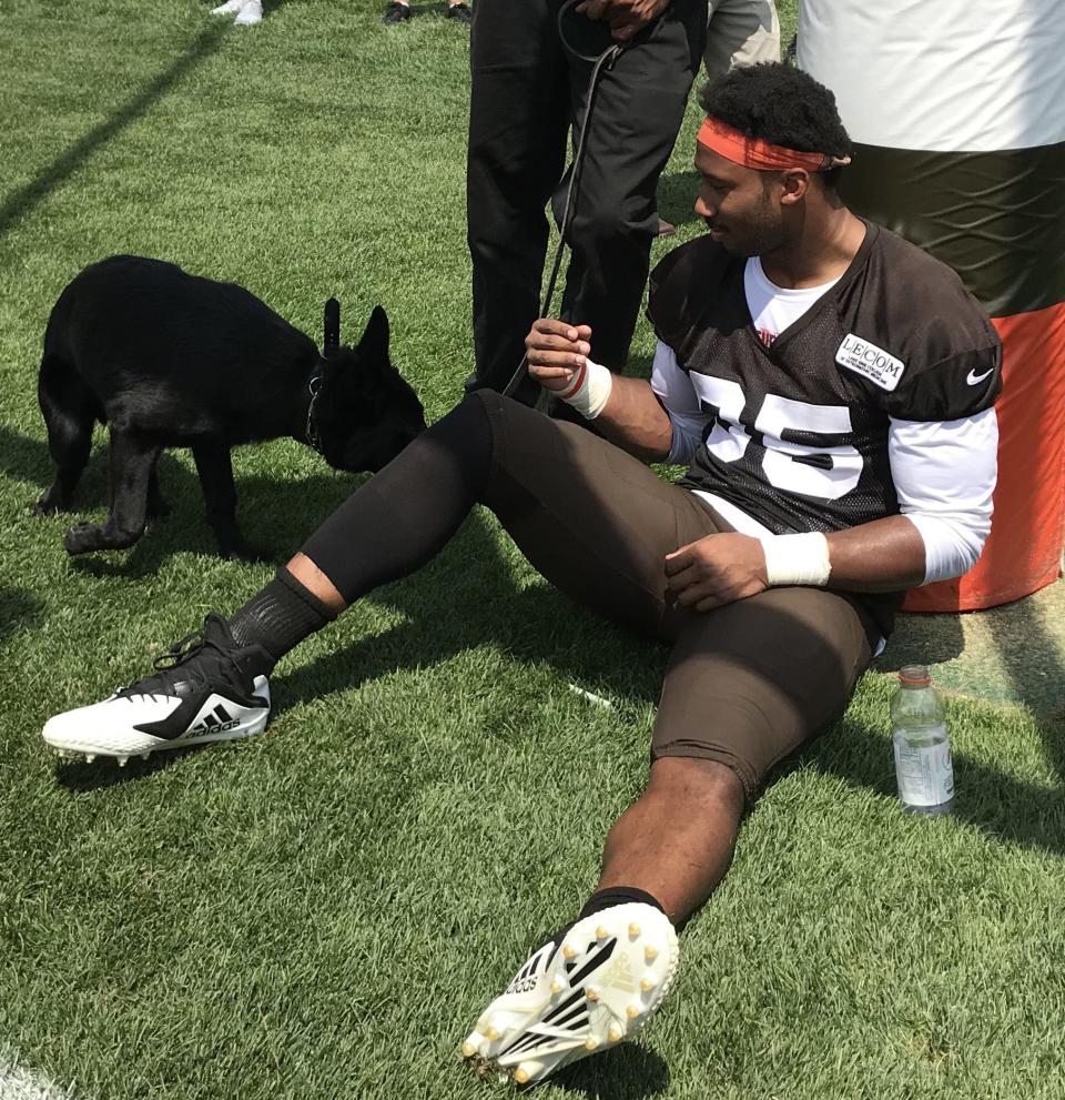 Browns defensive end Myles Garrett greets his dog Gohan at practice on July 26. [Marla Ridenour/Beacon Journal/Ohio.com]