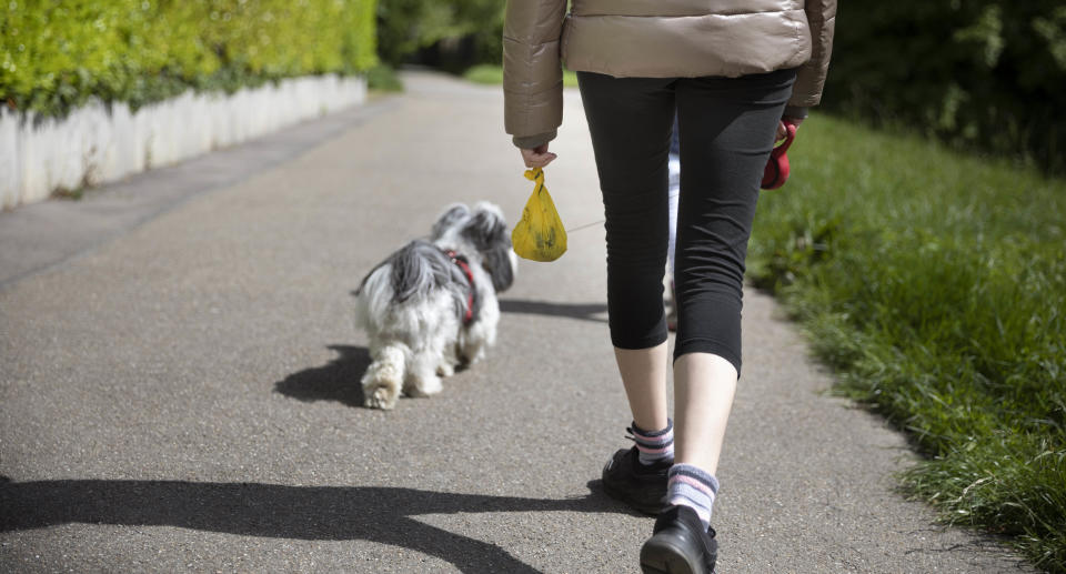 A person walking their dog and carrying a poo bag.