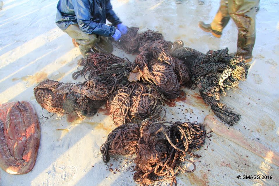 All the plastic and rope debris found in the whale's stomach (Photo: Scottish Marine Animal Strandings Scheme)