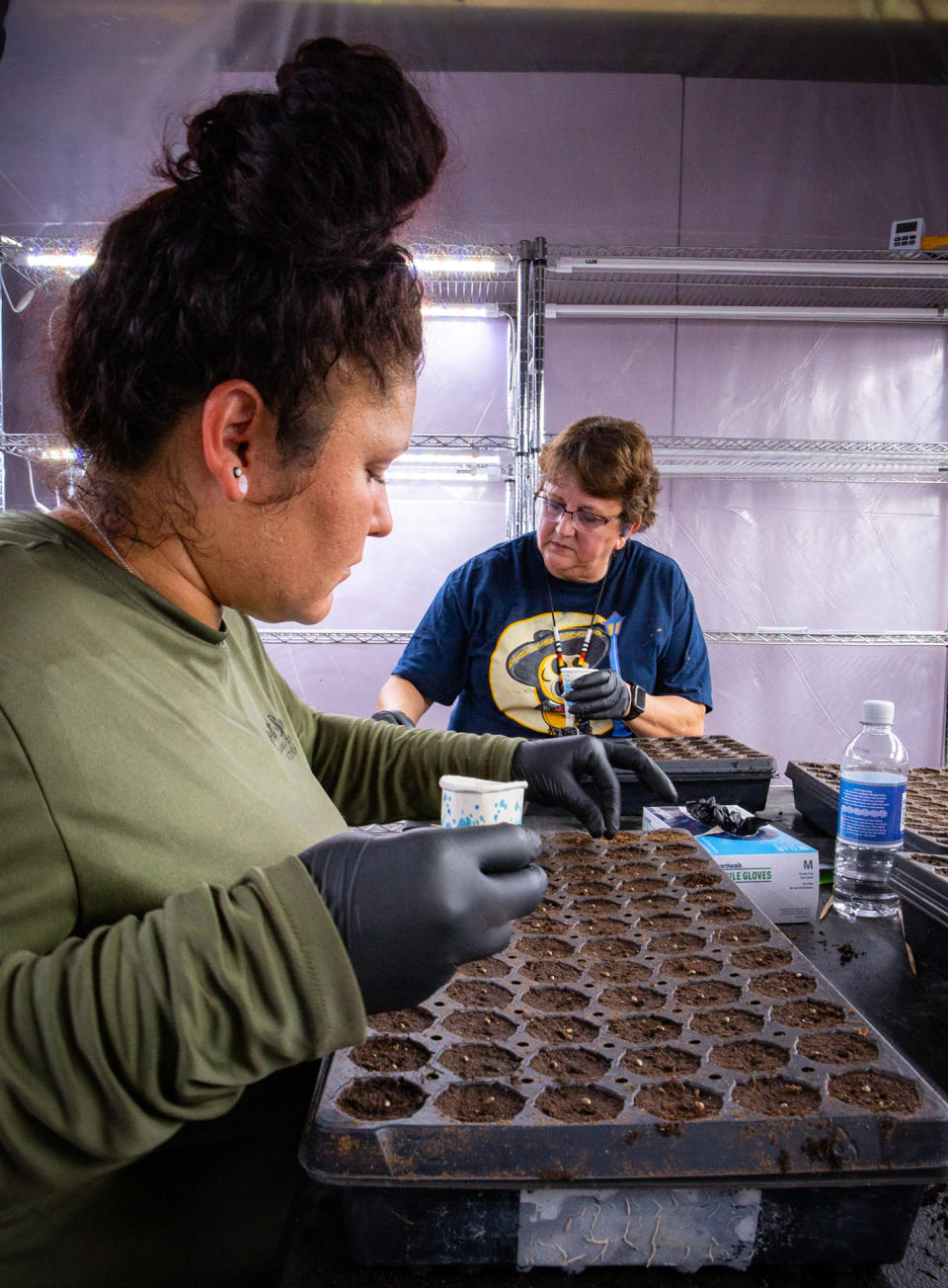 Qualla Enterprises workers plant cannabis seeds, an average of 6,000 to 9,000 a week, in Cherokee, N.C., on Sept. 1, 2023. (Madison Hye Long for NBC News)