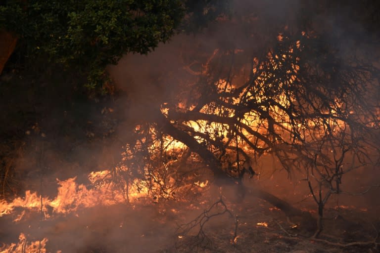 Napa in California is encircled by fires, says David Shew, a Calfire staff chief at a firefighting base camp not far from the Rocca winery