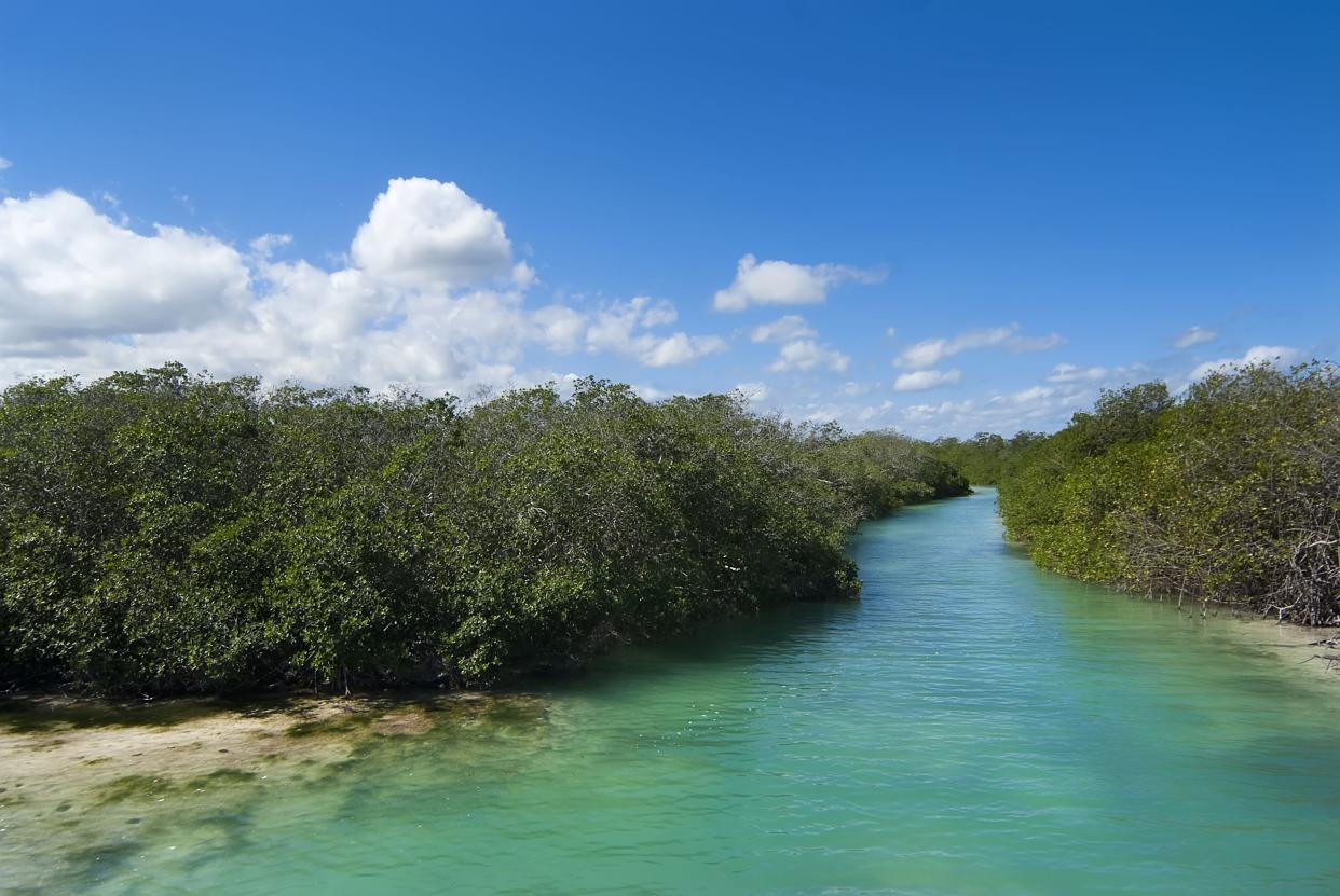 Sian Ka'an Biosphere Reserve