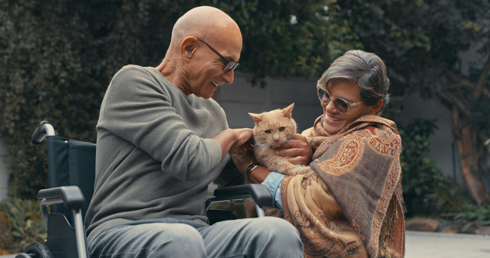 people petting a cat