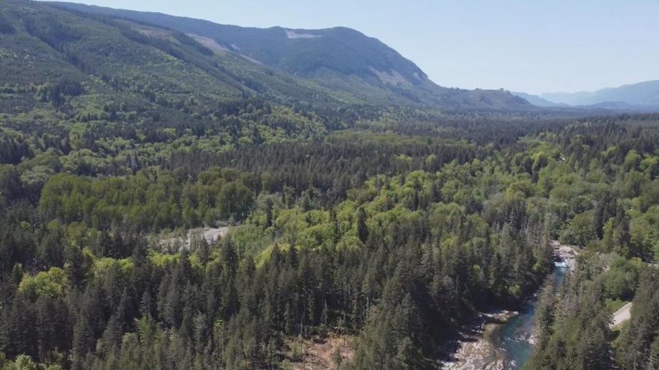 Drone footage shows the land near Skutz Falls Provincial Park. 
