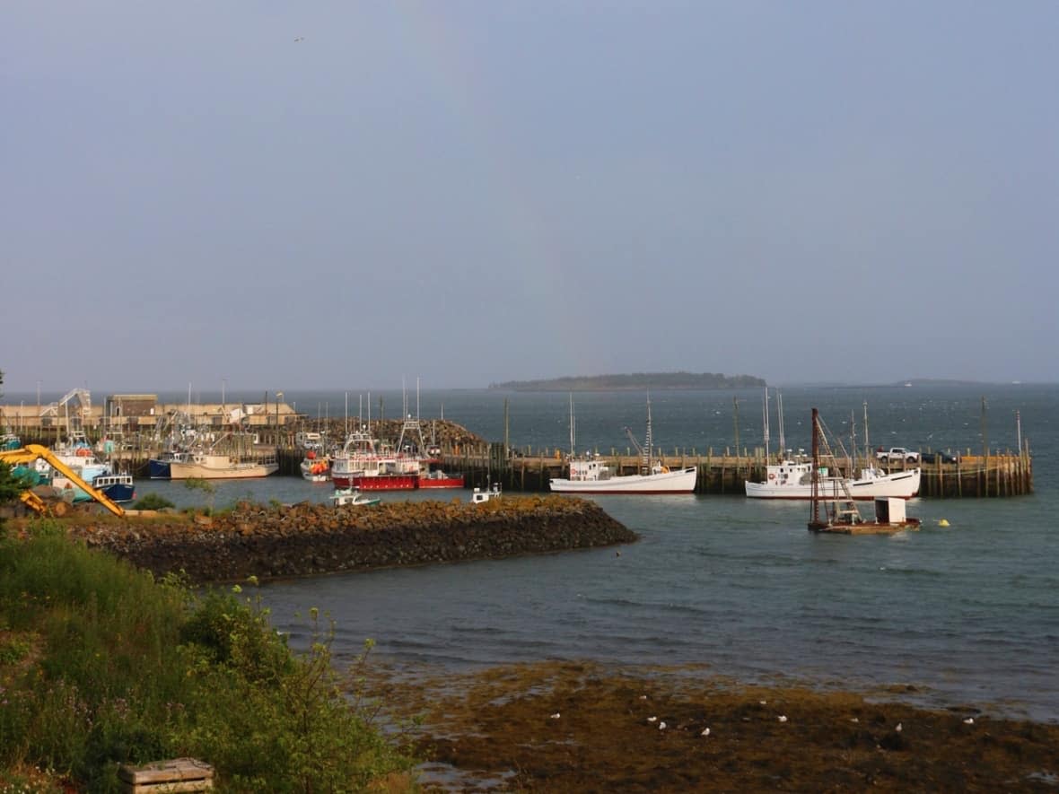 In a story playing out in rural communities across Canada, Grand Manan's only brick-and-mortar bank branch will be closing permanently.  (Julia Wright/CBC - image credit)