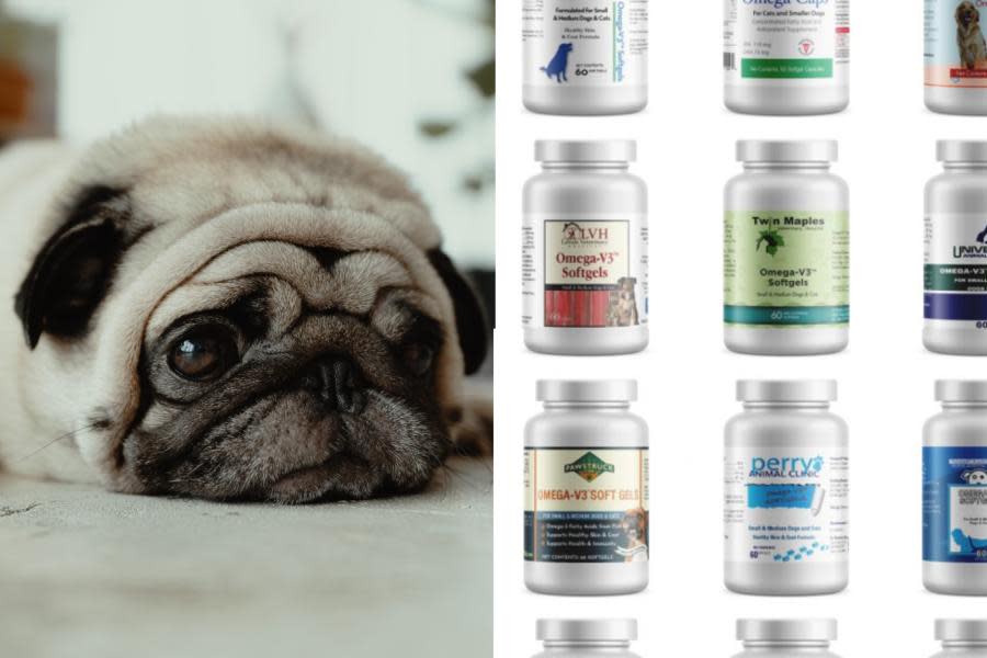 Retiran 62 marcas de suplementos de Omega 3 para perros y gatos en California: pueden ser tóxicos
