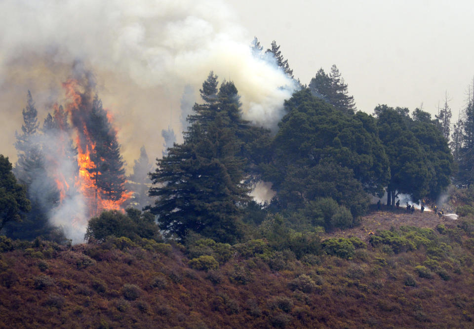 Wildfires force evacuations in Northern California